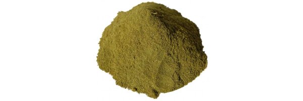 Moringa Blattpulver